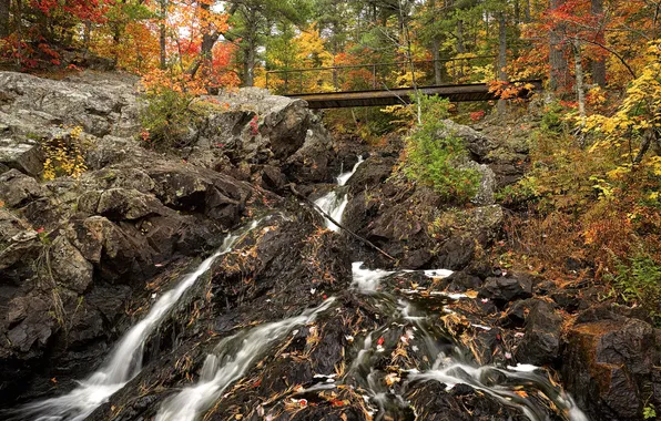 Autumn, forest, trees, mountains, bridge, stream, stones, rocks