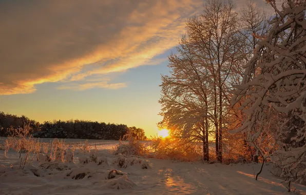 Picture winter, the sun, snow