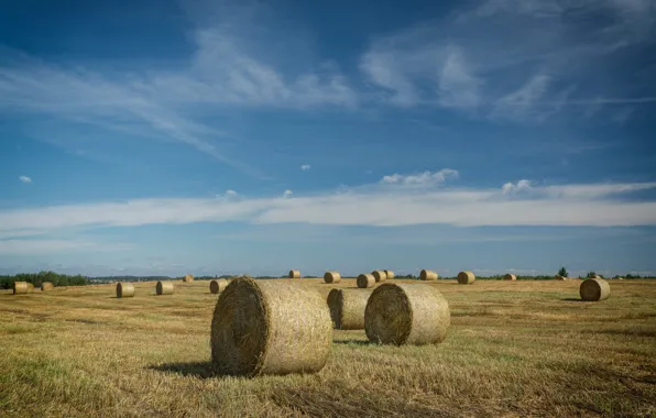 Field, hay, bales, blue sky, bales