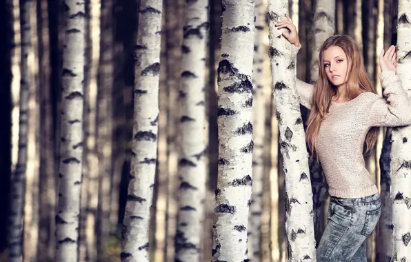 Picture girl, birch, Tanja