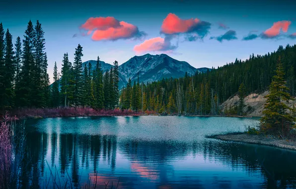 Forest, clouds, mountains, lake, The evening, forest, mountains, clouds