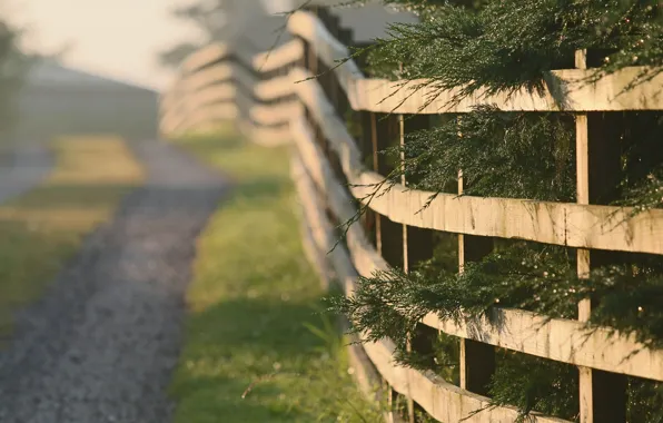 Road, the fence, morning