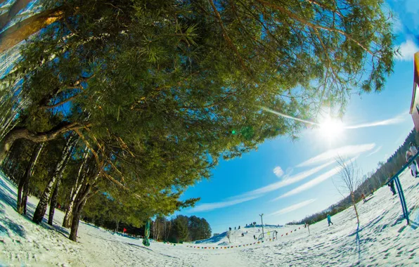 Winter, winter landscape, fisheye, pulls, fisheye