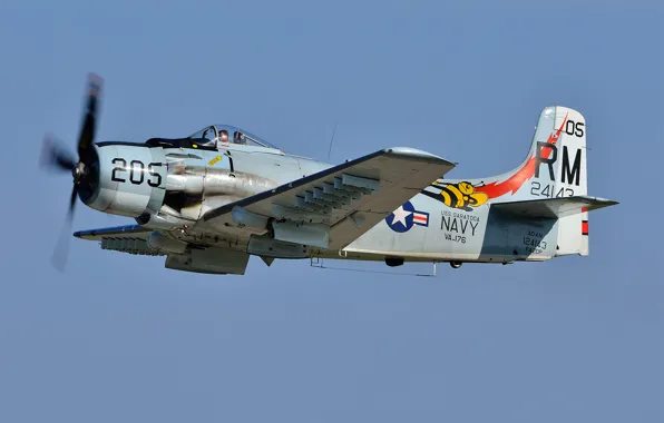 Picture attack, "Skyraider", Skyraider, A-1