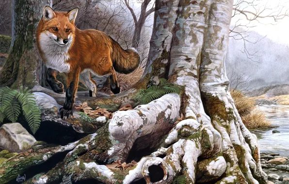 Autumn, forest, river, stream, Fox, red, painting, Al Agnew
