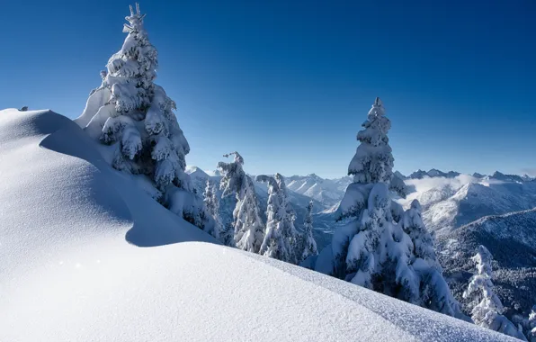 Winter, snow, trees, mountains, Austria, ate, Alps, the snow