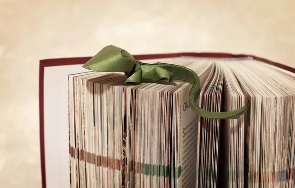 Picture lizard, book, origami