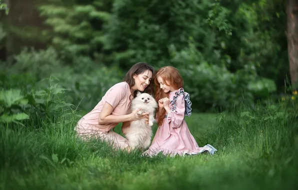 Summer, look, girl, joy, happiness, nature, child, dog