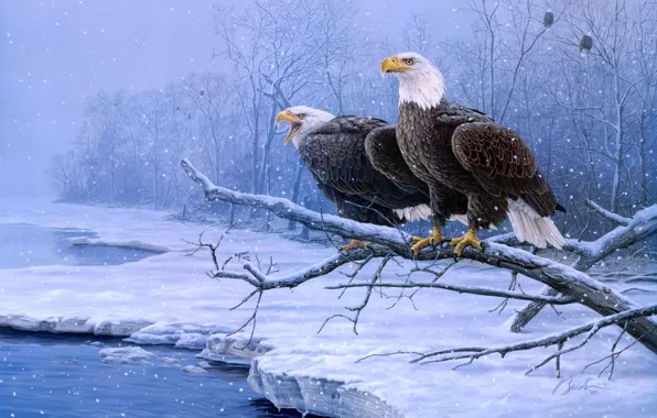 Picture cold, winter, snow, birds, river, frost, painting, the eagles