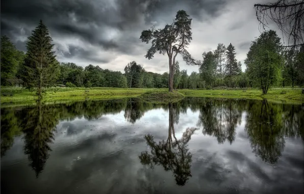 Picture trees, clouds, lake, reflection
