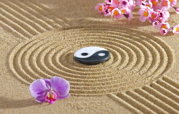 Energy, flowers, stone, Japan, garden, Japan, stone, Zen