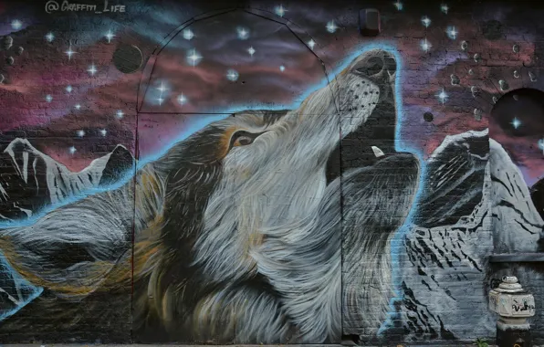 Face, stars, background, wall, graffiti, wolf, Graffiti