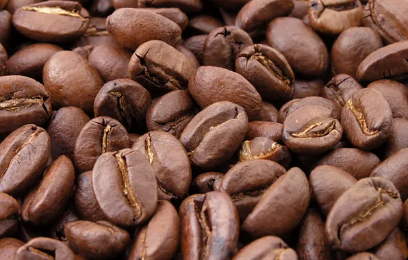 Macro, Grain, Coffee