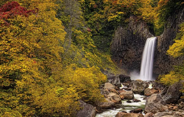 Autumn, forest, stream, waterfall, Japan, panorama, Japan, Niigata