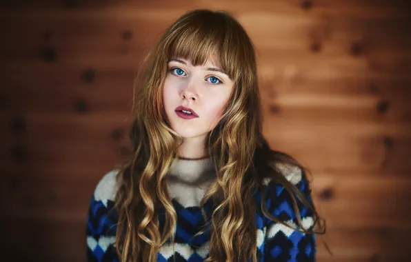 Picture look, background, model, portrait, makeup, hairstyle, brown hair, bokeh