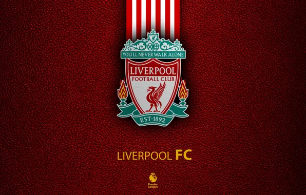 HD wallpaper: Apple, phone, tablet, EPL | Wallpaper Flare