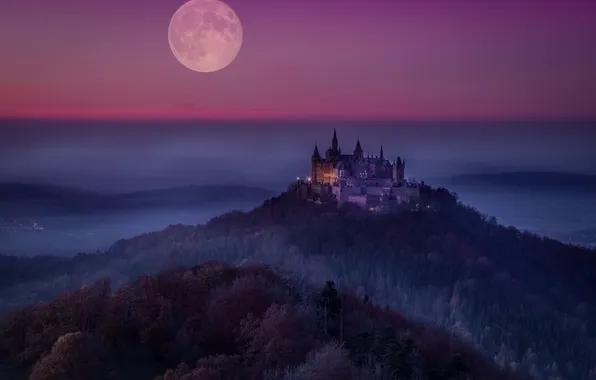 Picture night, castle, the moon