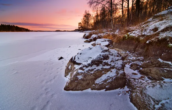 Picture winter, snow, trees, traces, river