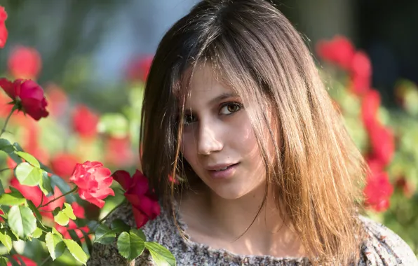 Picture look, flowers, face, hair, roses, cutie, Clear
