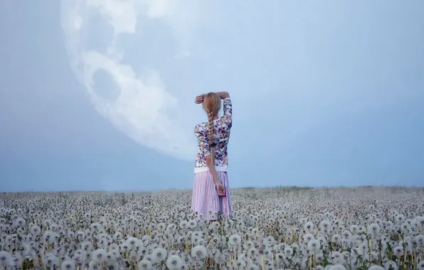 Picture field, the sky, girl, nature, the moon, dandelions