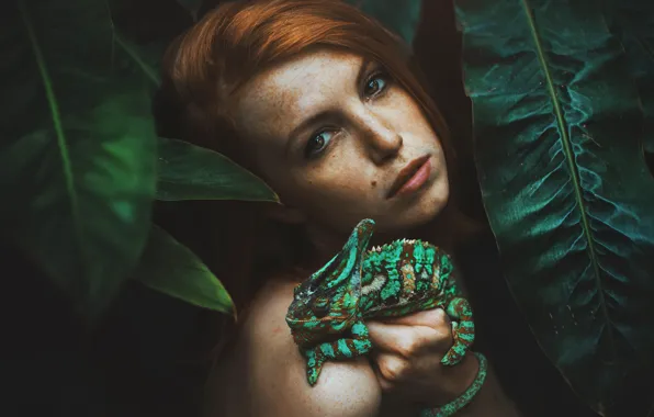 Picture girl, chameleon, red