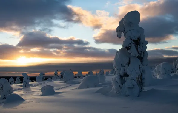 Winter, snow, mountains, in the snow, ate, slope, the snow