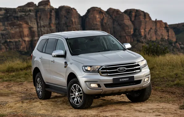 Rocks, Ford, Everest, 4WD, the five-door, XLT, 2019