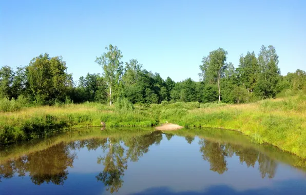 Summer, the sky, grass, trees, pond, Bank