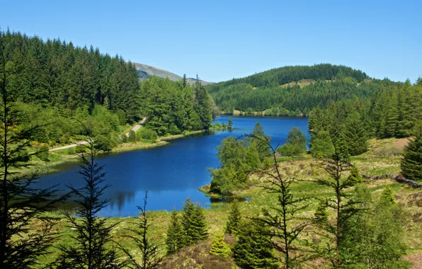 Picture road, greens, forest, summer, the sun, trees, lake, Scotland