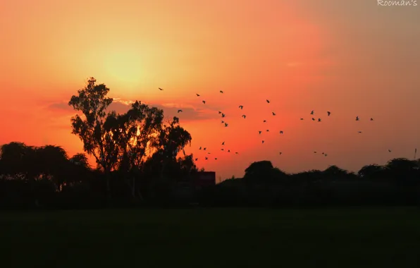 Nature, Sunset, beautiful, evening, sun&amp;sky