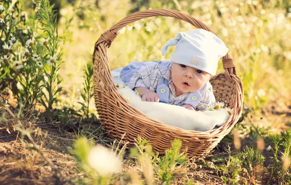 Flowers, basket, chamomile, cap, baby
