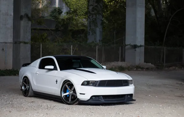 Picture Mustang, Ford, White