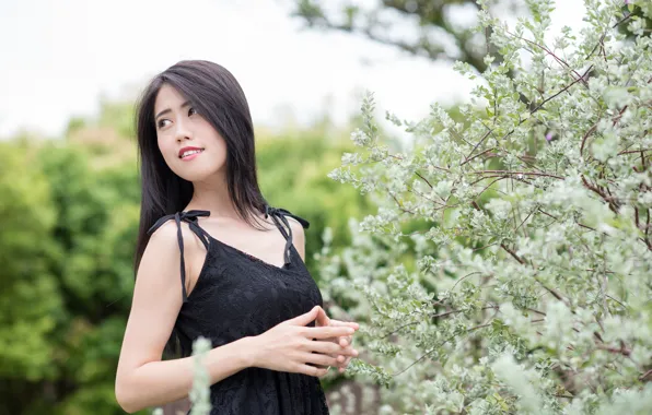 Look, Asian, black dress, flowering tree, blurred background, charm, look, asian