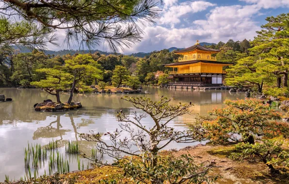 Trees, lake, Park, castle, shore, Japan, Kyoto, Islands