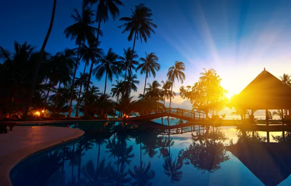 Trees, bridge, nature, palm trees, Paradise, Sunrise, Thailand, Thailand