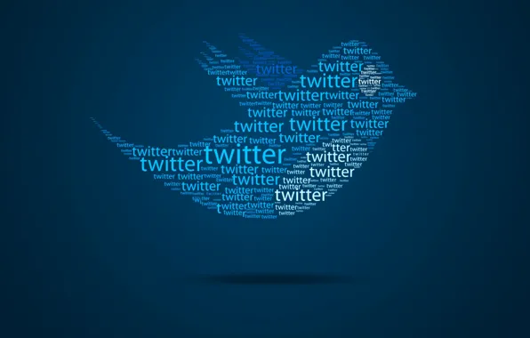 Flight, abstraction, bird, wings, bird, message, the website, Twitter