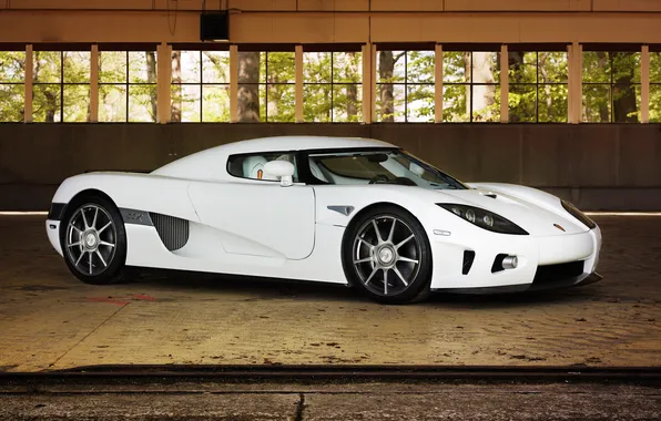 Picture white, Koenigsegg, supercar, white, CCX, koenigseg