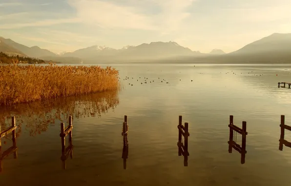 Water, landscape, mountains, nature, lake, surface, thickets, plants