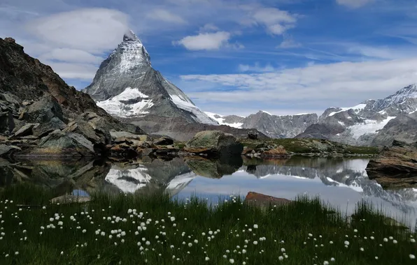 Grass, flowers, mountains, nature, lake