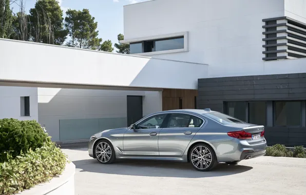 Picture the sky, house, vegetation, BMW, Parking, back, side view, flowerbed