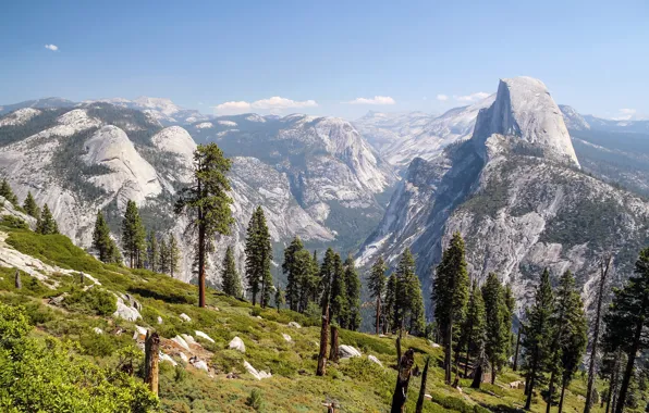 Picture trees, mountains, rocks, slope, California, Yosemite Valley, Yosemite National Park, Glacier Point