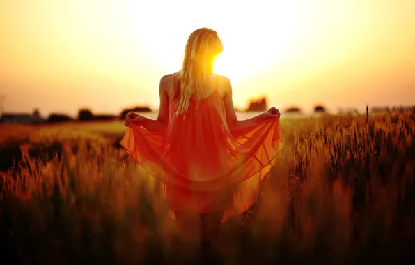 Field, girl, the sun, macro, sunset, nature, background, red