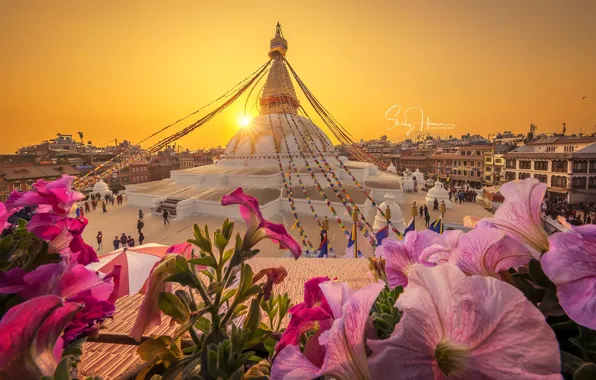 Sunset, flowers, home, area, Temple, Nepal, photographer Shirly Hamra