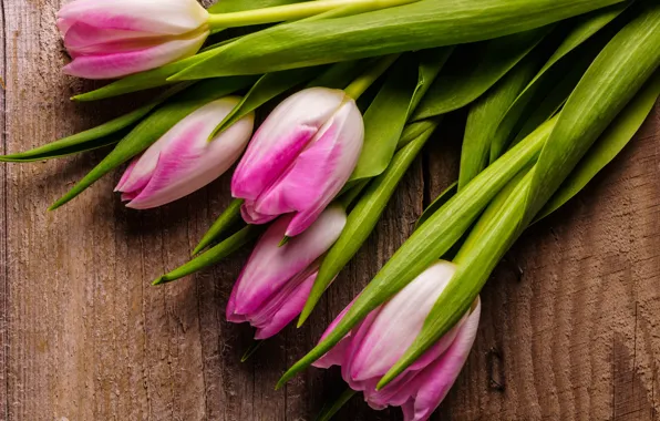 Flowers, bouquet, tulips, pink, fresh, wood, pink, flowers
