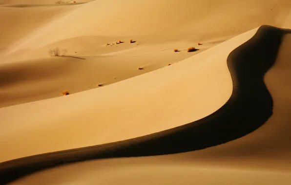 Picture desert, shadow, Barkhan