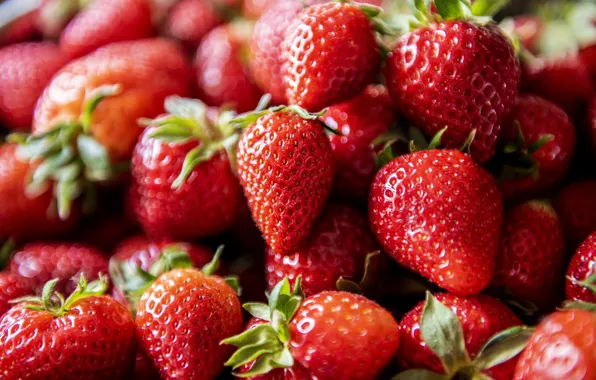 Picture macro, berries, Victoria, strawberry, a lot, bokeh
