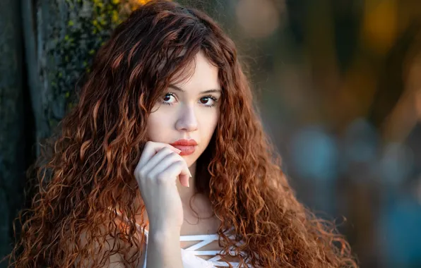 Picture curly, chestnut color, Ilaria Scibilia