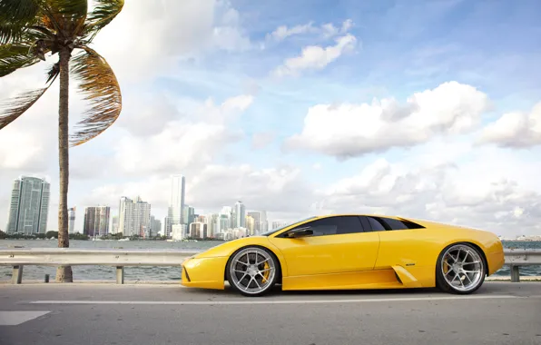 Picture road, the sky, clouds, Palma, the wind, Lamborghini, drives, the yolk