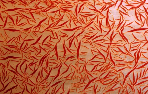 Macro, texture, corals, red background