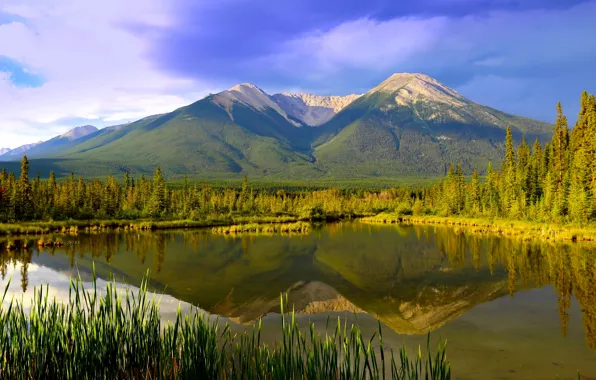 Picture mountains, lake, reflection, Canada, panorama, Albert, Banff National Park, Alberta